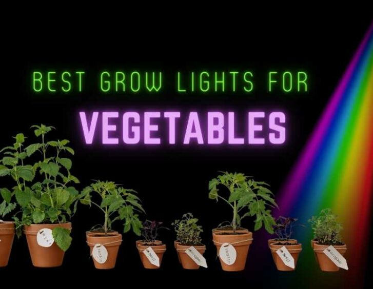 Top choice for indoor gardening - vegetable grow light. Perfect for common veggies. Top choice for indoor gardening - vegetable grow light. Perfect for common veggies.