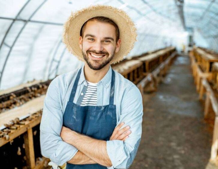 A man in a straw hat standing in a greenhouse with bees. A Man In A Straw Hat Standing In A Greenhouse With Bees.