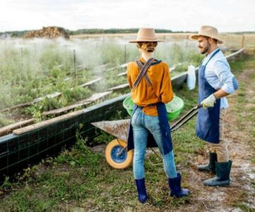 A man and a woman are standing in a field with a wheelbarrow. A Man And A Woman Are Standing In A Field With A Wheelbarrow.