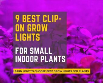 9 best clip on grow lights for small indoor plants.