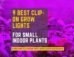 9 best clip on grow lights for small indoor plants.