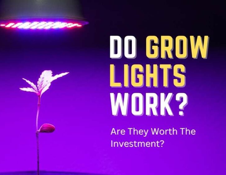 Do grow lights work? are they worth the investment?. Do grow lights work? are they worth the investment?.