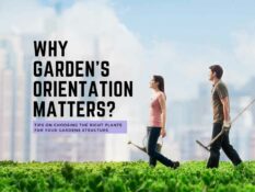 Why garden's orientation matters?. Why garden's orientation matters?.