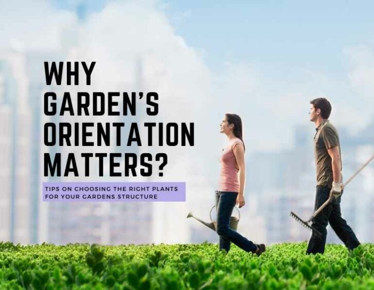 Why garden's orientation matters?. Why garden's orientation matters?.