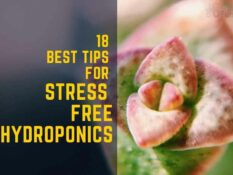 18 best tips for stress free hydroponics.