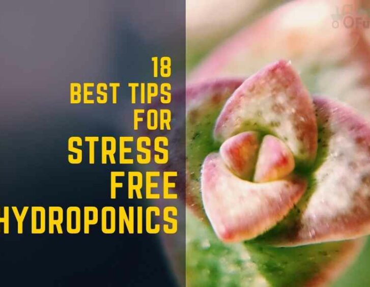 18 best tips for stress free hydroponics. 18 best tips for stress free hydroponics.
