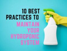 10 best practices to maintain your hydroponic system. 10 best practices to maintain your hydroponic system.