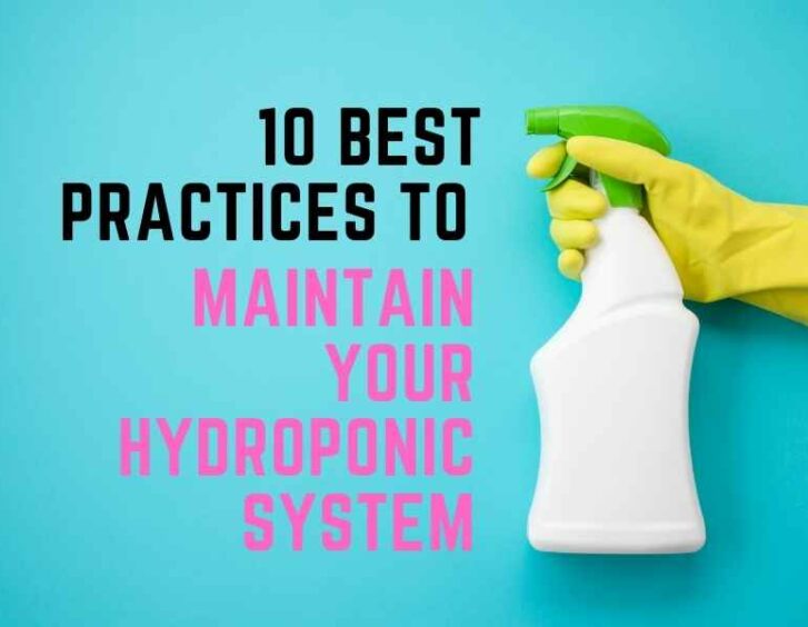 10 best practices to maintain your hydroponic system. 10 best practices to maintain your hydroponic system.