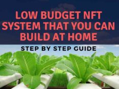 Low budget nft system that you can build at home step by step guide. Low budget nft system that you can build at home step by step guide.
