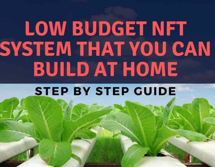 Low budget nft system that you can build at home step by step guide.