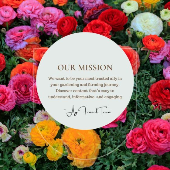 An Image Of Flowers With The Words Our Mission.