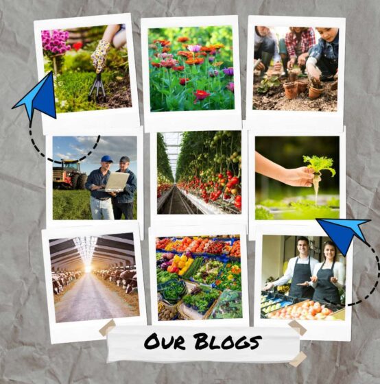 A Collage Of Photos With The Words Our Blogs.