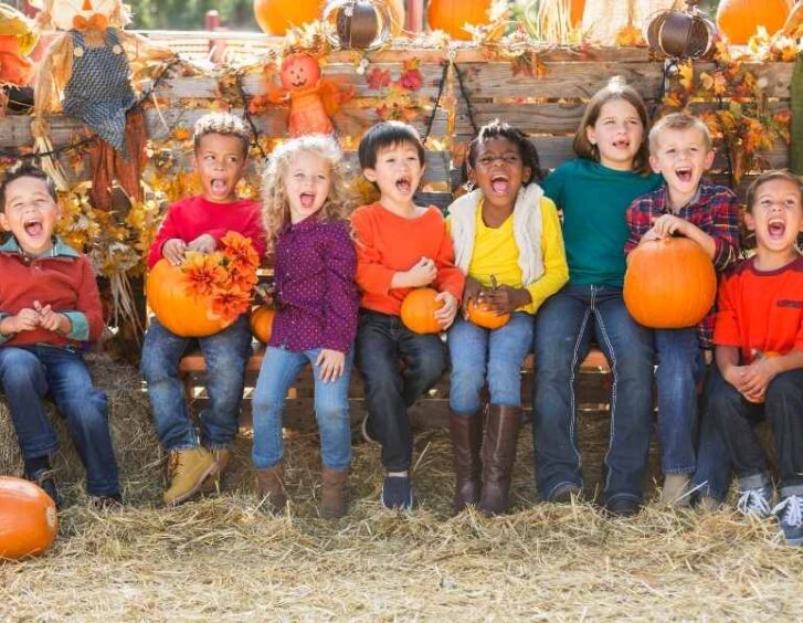 big max pumpkin Big Max Pumpkin