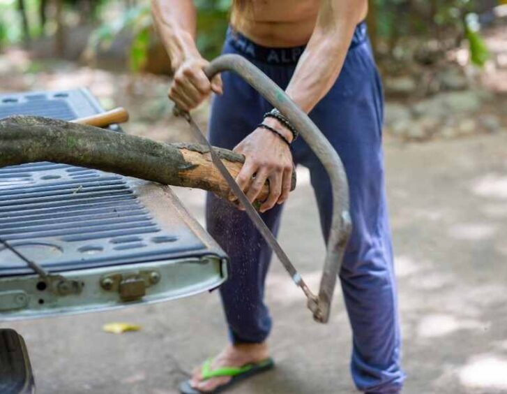 bow sawing Bow Sawing