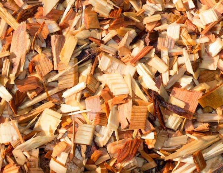 cedar wood chips Cedar Wood Chips