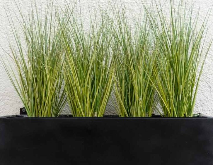 corten steel planters Corten Steel Planters