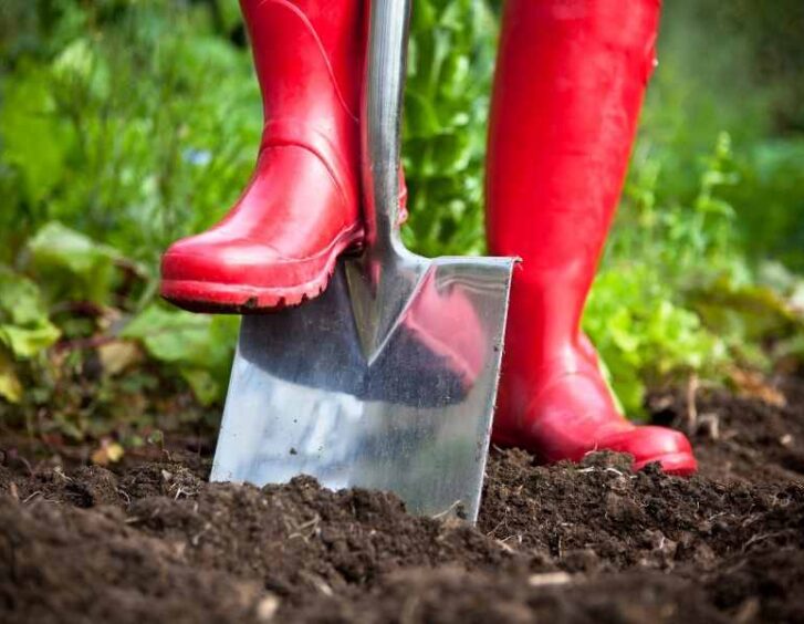 garden spade Garden Spade