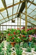 Greenhouse Plastic Panels