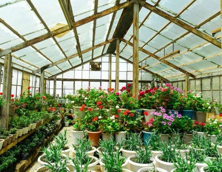 Greenhouse Plastic Panels