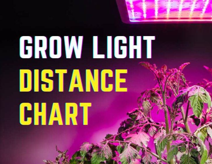 Grow light distance chart.