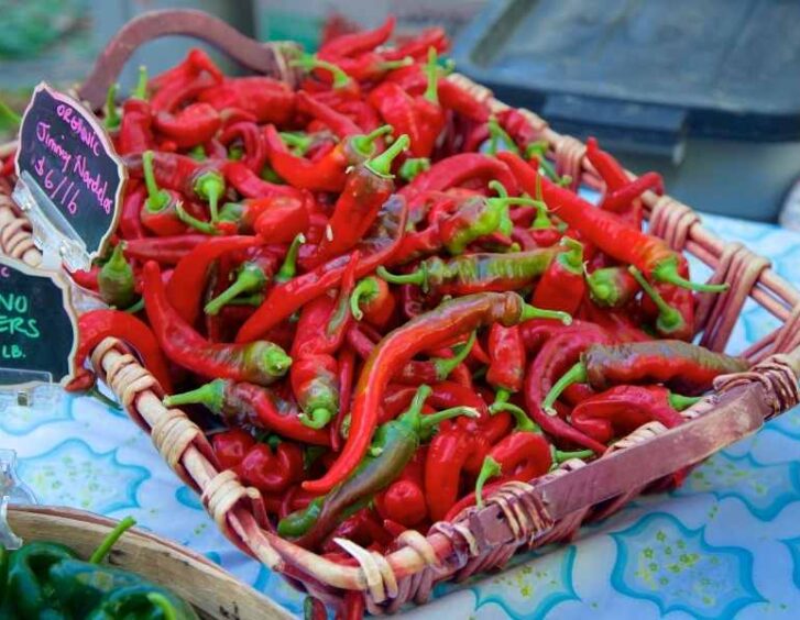 jimmy nardello Jimmy Nardello