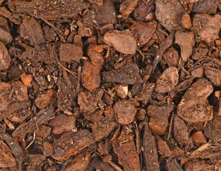 orchid potting mix Orchid Potting Mix