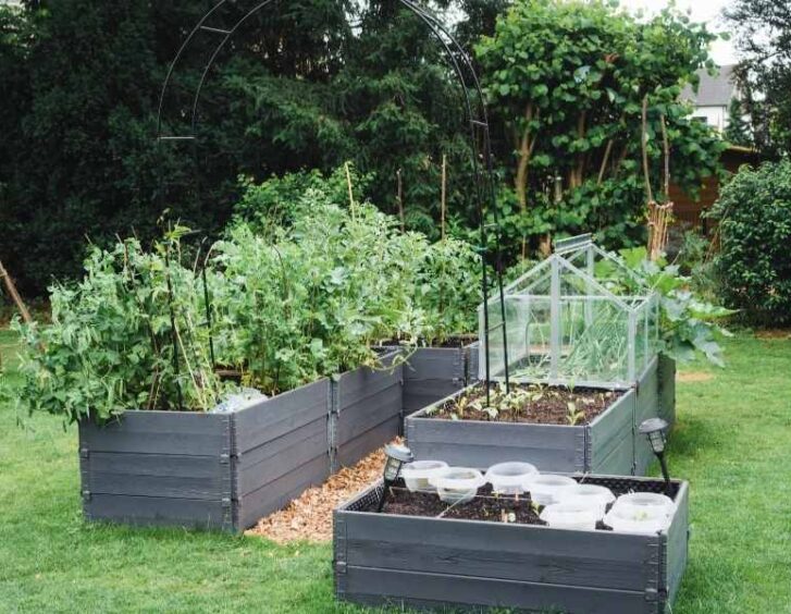 raised garden bed with trellis Raised Garden Bed With Trellis