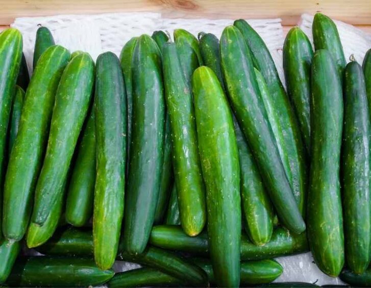 sanjaku complex Sanjaku Complex