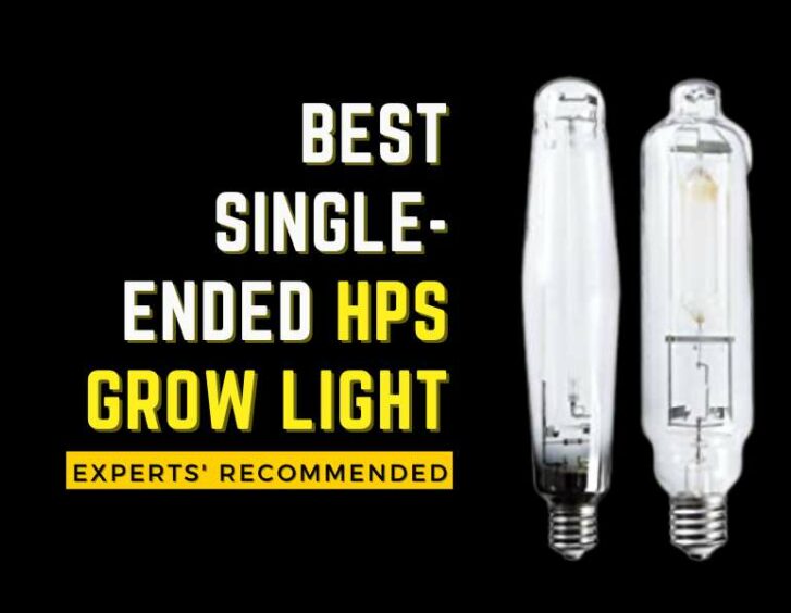Best single ended hps grow light experts recommended. Best single ended hps grow light experts recommended.