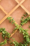Wall Trellis