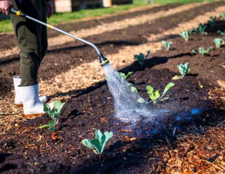 watering wand Watering Wand