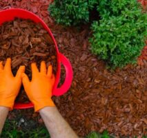 Wood Mulch