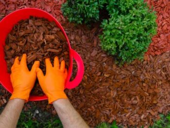 Wood Mulch