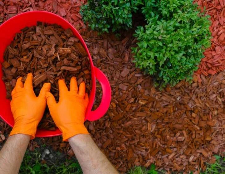 wood mulch Wood Mulch